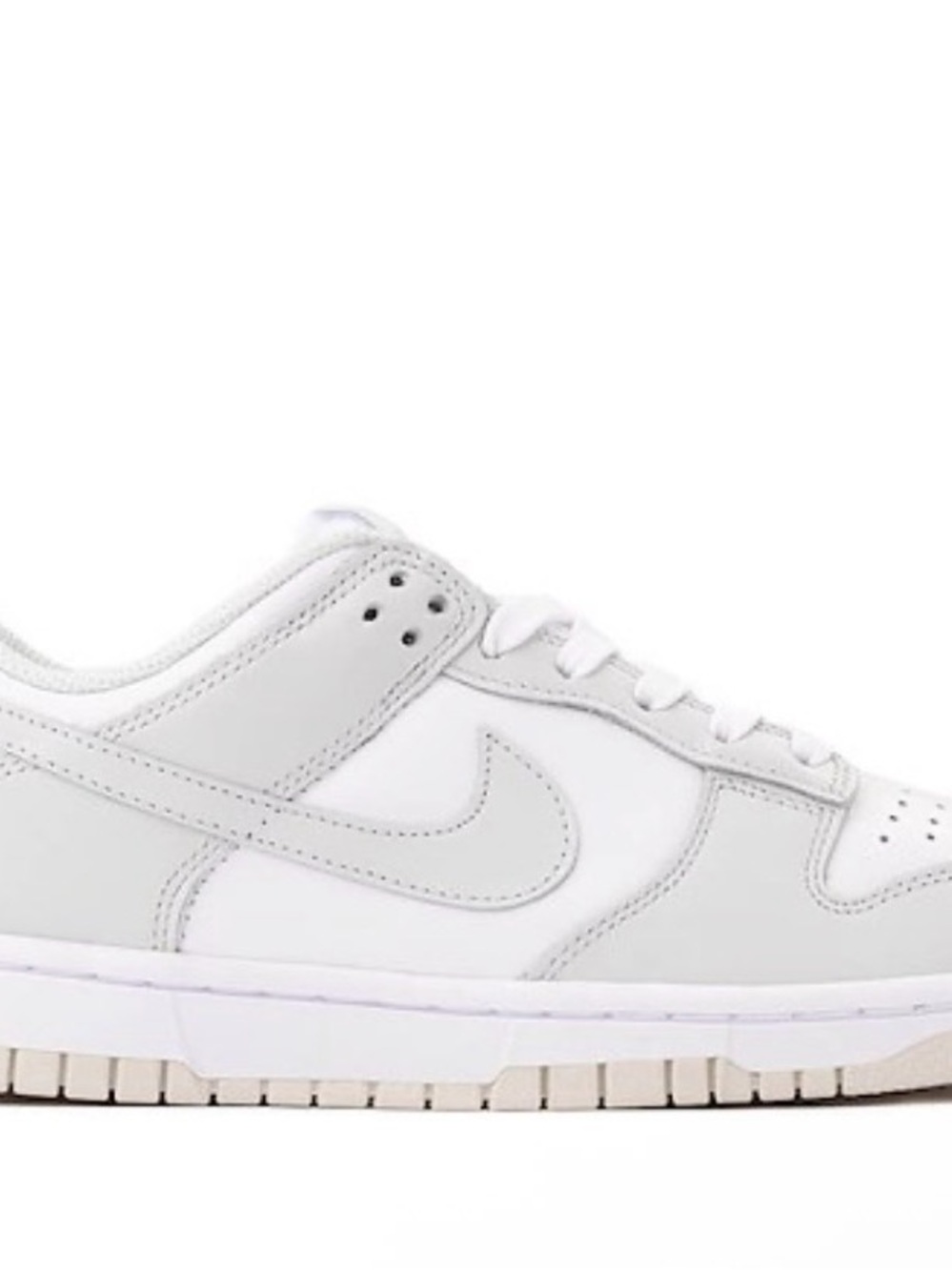 Nike Dunk Low